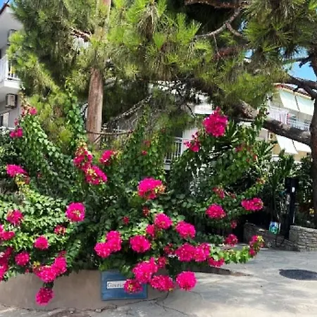 Grecian Sea Limenaria (Thasos)